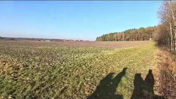 Freiheit im Sattel